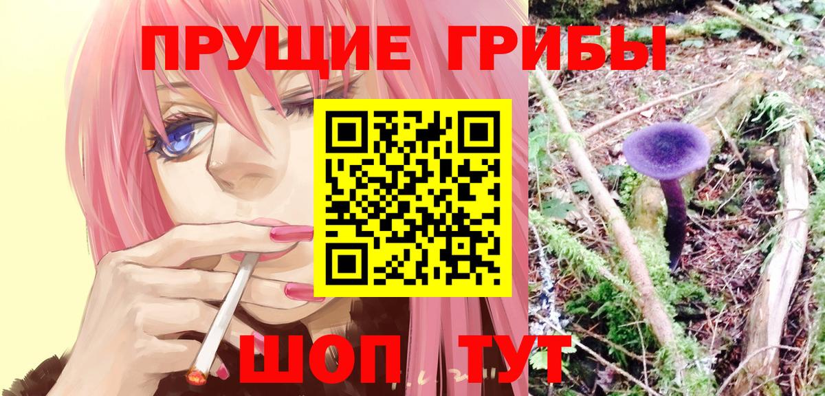 Галлюциногенные грибы Psilocybe Первоуральск