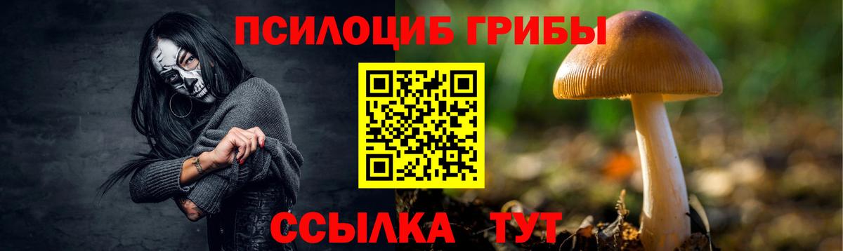 Галлюциногенные грибы Psilocybe  Вход с VPN  где найти наркотики  Первоуральск 
